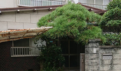 生前整理・遺品整理